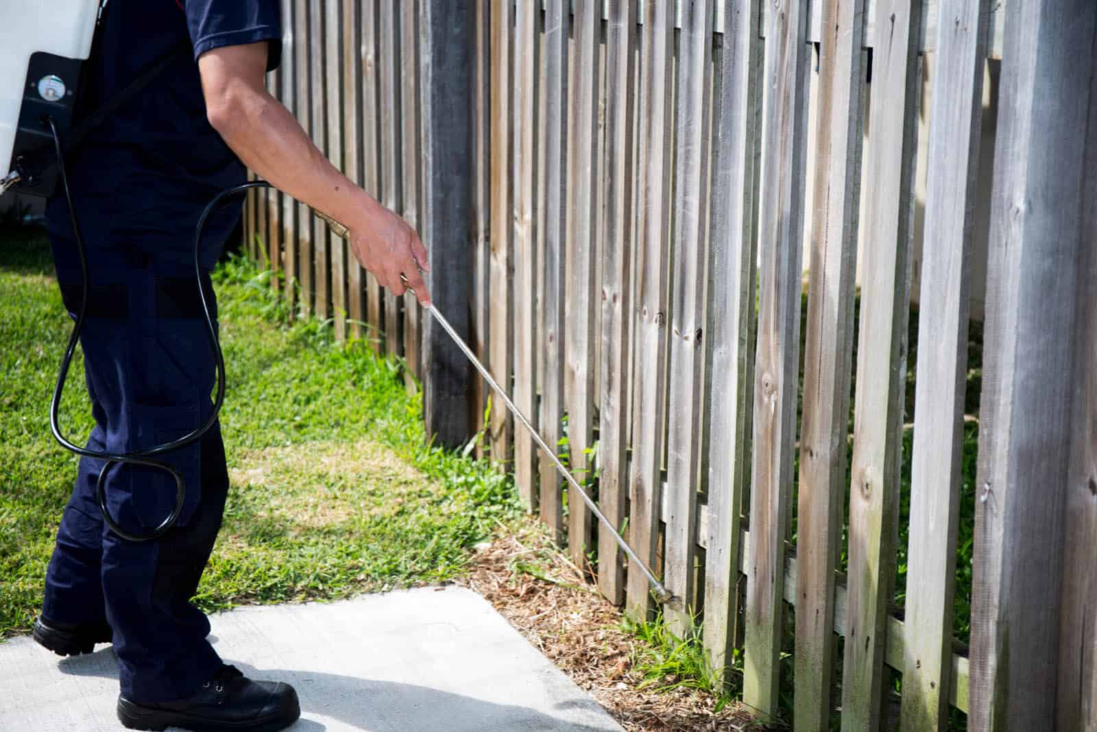 Spraying fence for termites